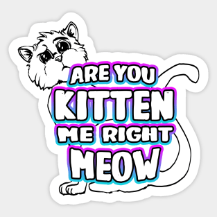 Are You Kitten Me Right Meow Sticker